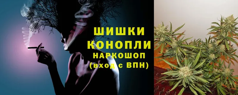 купить наркотики сайты  Вязьма  МАРИХУАНА Amnesia 